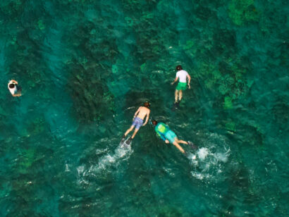 drone shot of people snorkeling