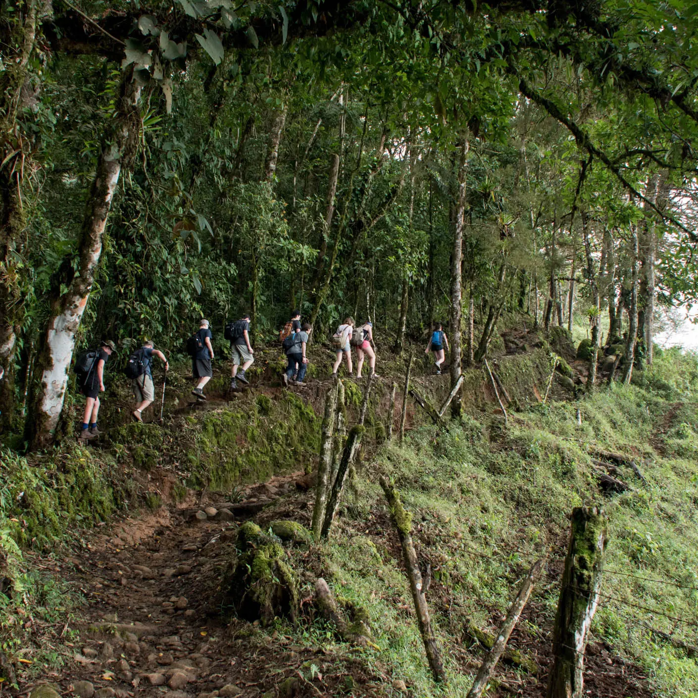 Costa Rica hiking