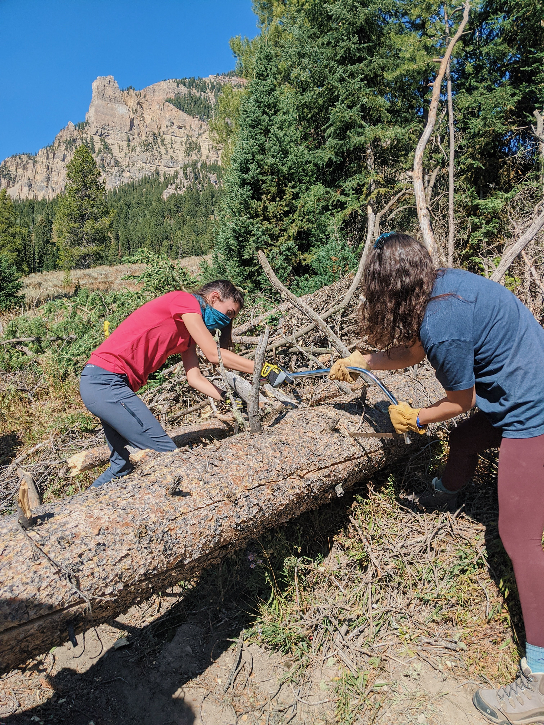 Two people sawing a fallen tree over a hiking trail.