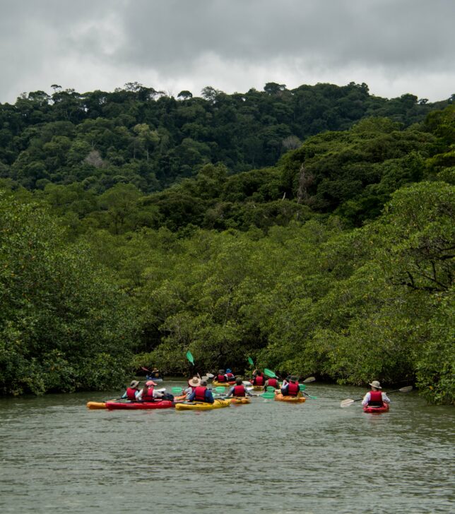 students sea kayaking in Costa Rica
