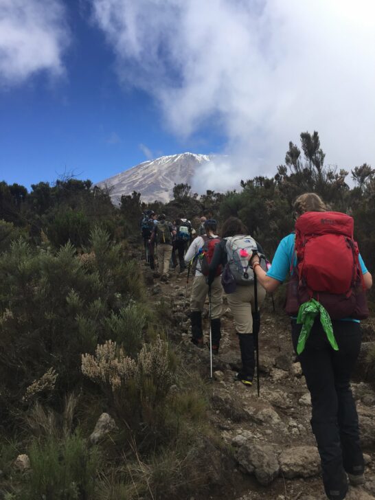 group hiking towards Kilimanjaro