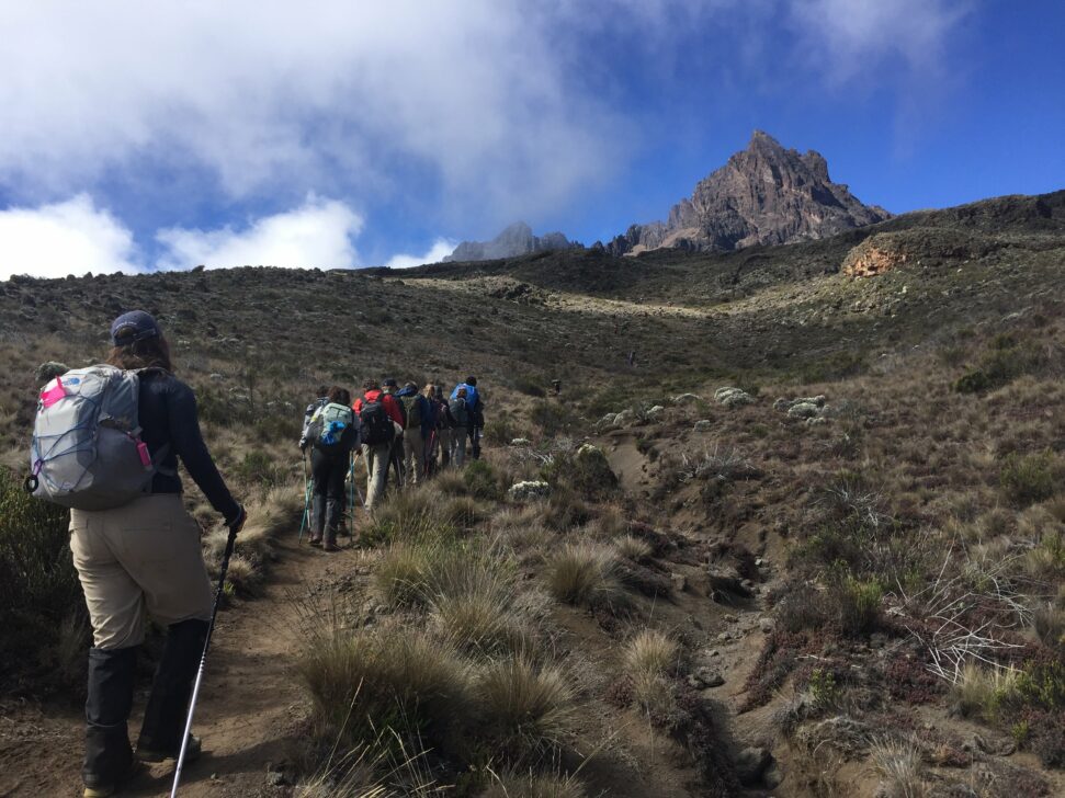 group hiking towards mawenzi in Mt. Kilimanjaro National Park