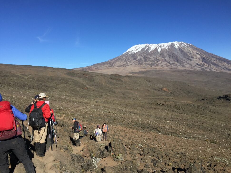 group hiking towards Mt. Kilimanjaro