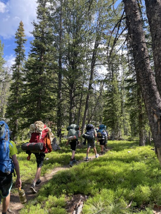 a group backpacking through pine trees