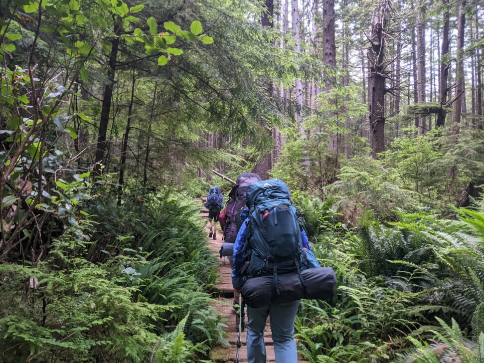 Backpacking through rainforests of Olympic National Park