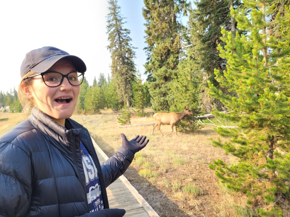 Person looking at an Elk