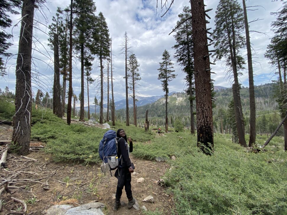 One person backpacking in Yosemite
