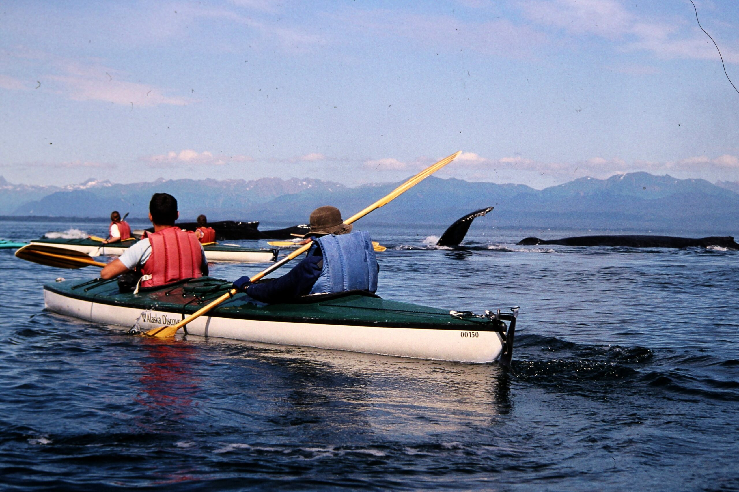 1998 Sea Kayaking with Whale Fin