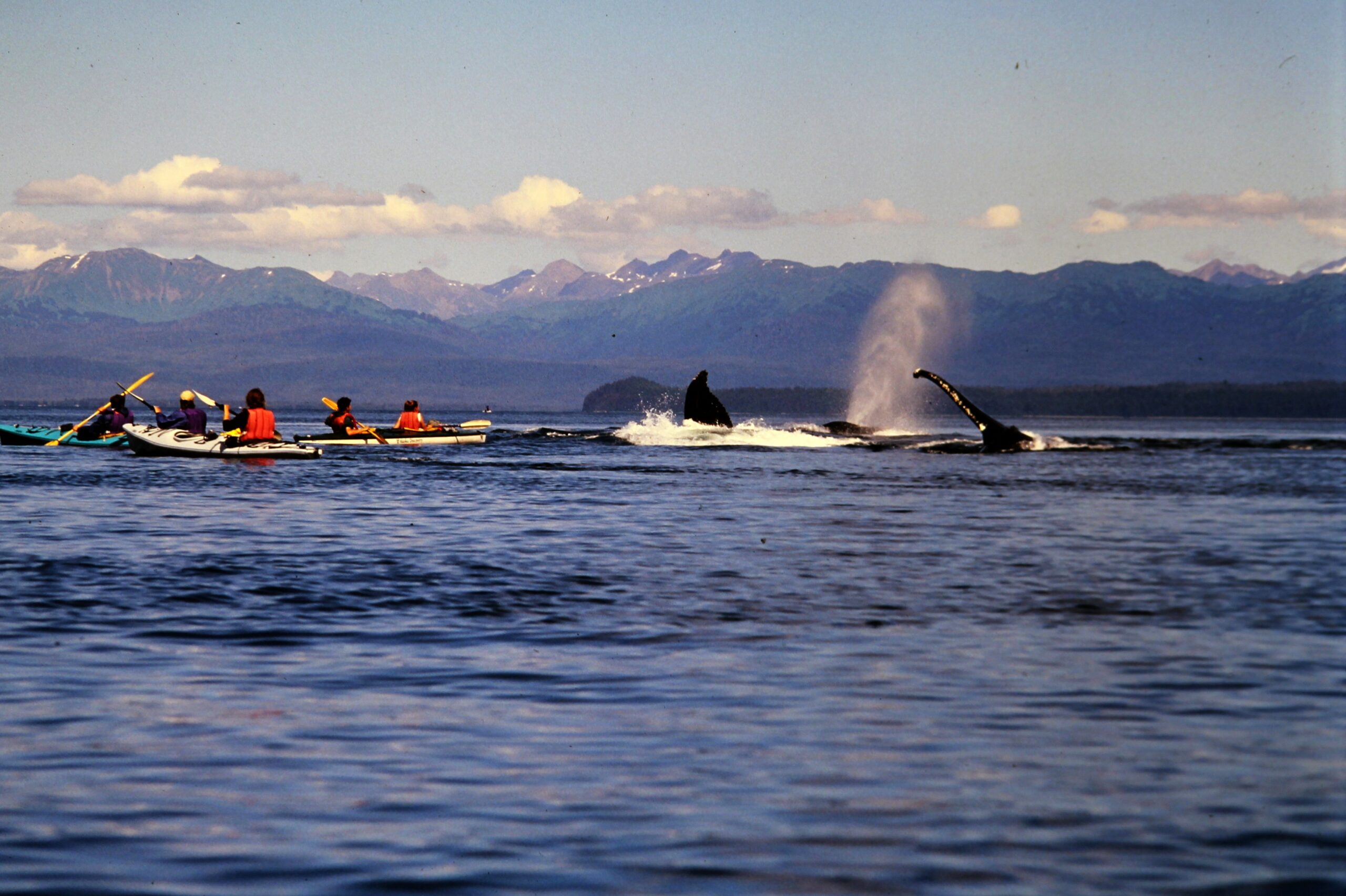1998 Sea Kayaking with whale blowing