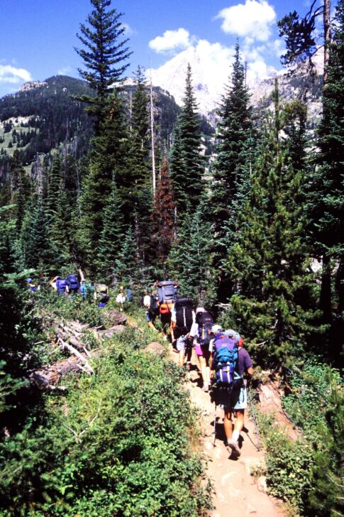 1994 Forest Backpack