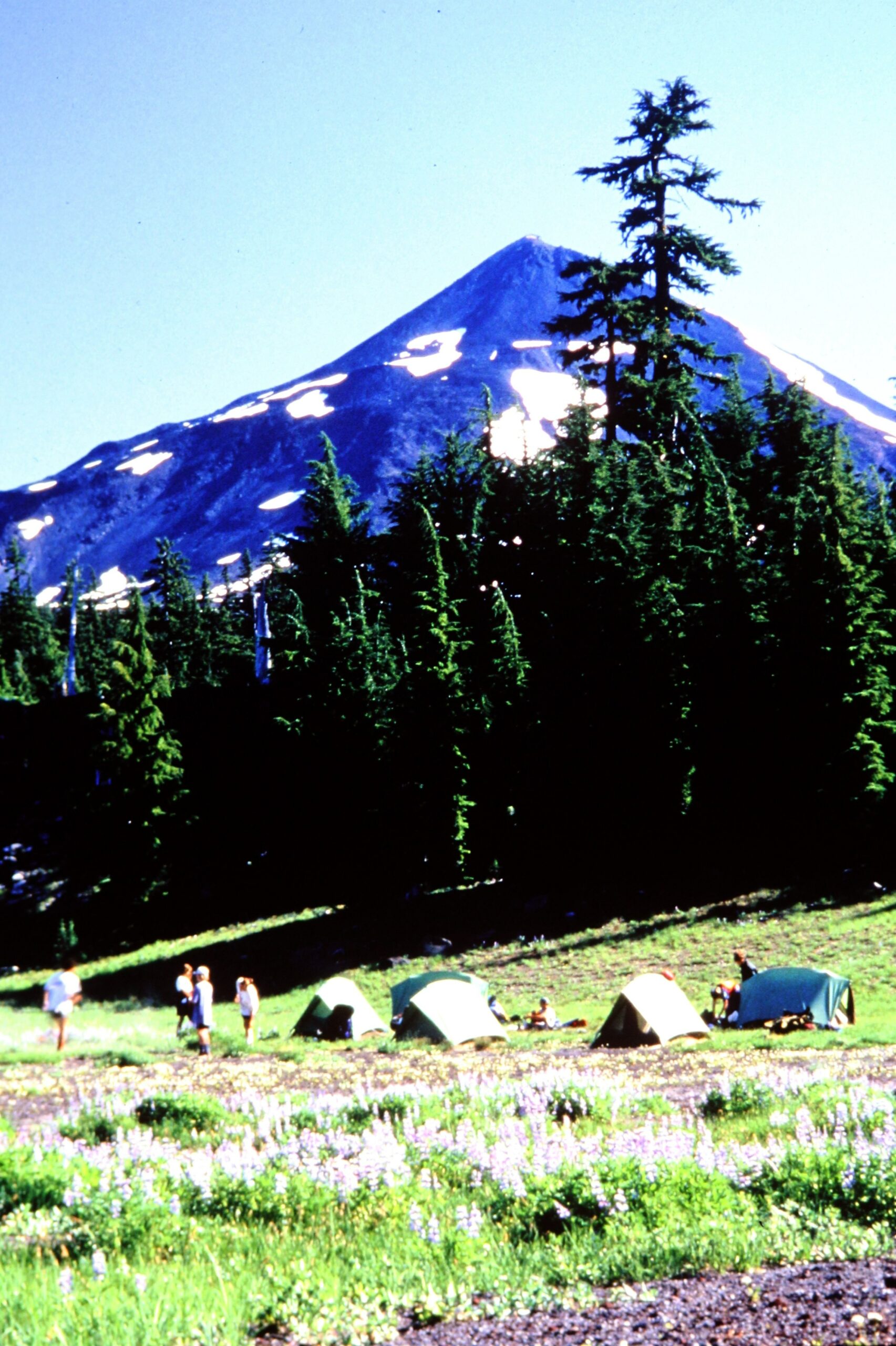 1997 tents