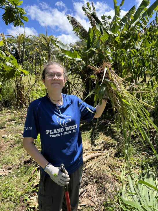 Person holding invasive species doing community service in Hawaii