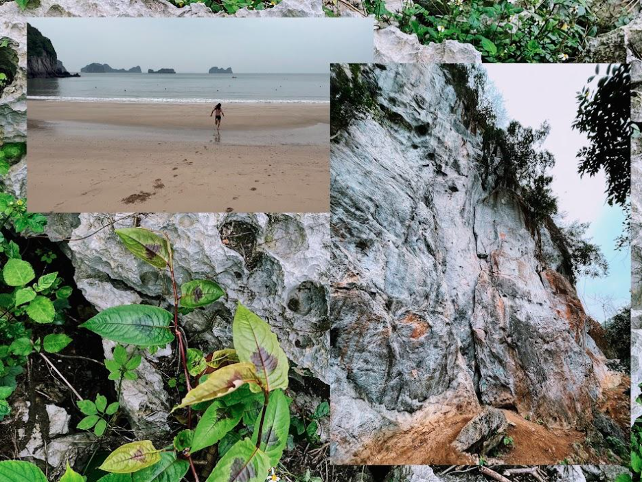Collage of 3 photos: man running into the ocean on the beach, looking upwards on a wall of limestone, and up-close image of greenery on the rock.