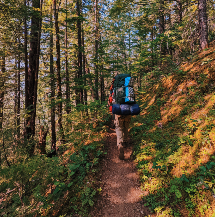 Backpacker hiking through dense green forest