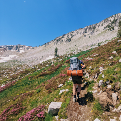 Person backpacking in a high alpine environment with blue sky and wildflowers.