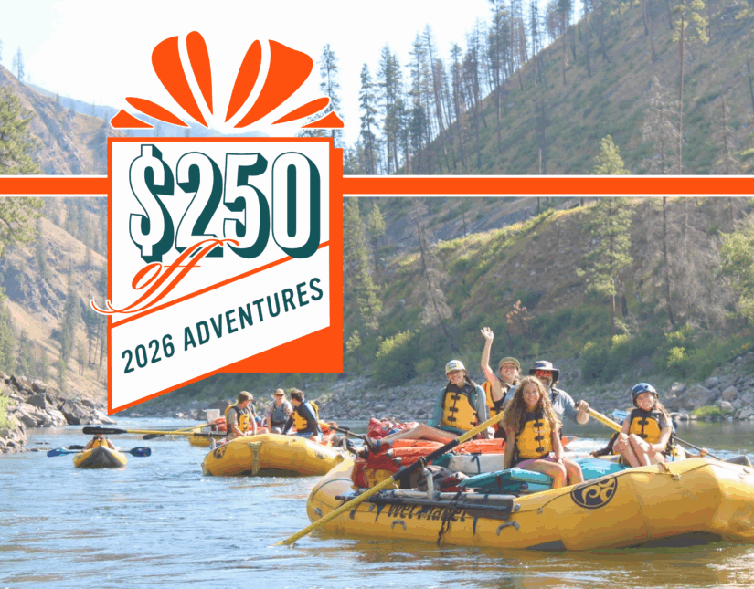 Use code HOLIDAY250 to get $250 off 2026 WA trips.